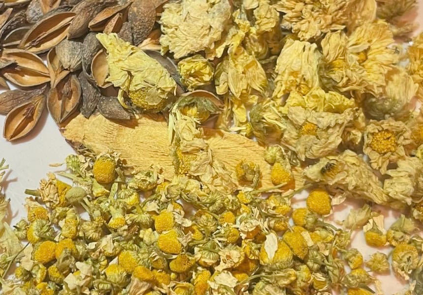 【醫食源】桑葉雙菊茶