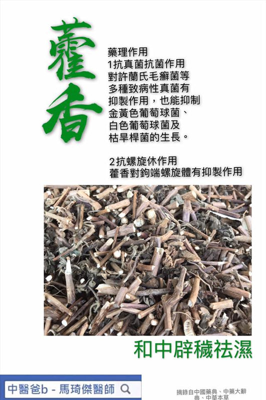 【中藥101 -抗感染藥材】