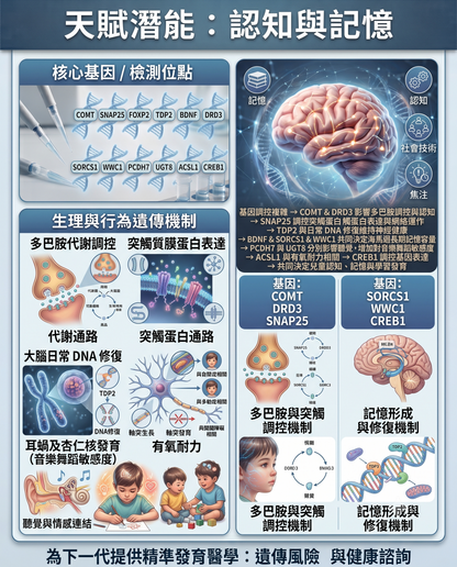健家療程︰兒童天賦基因(14項)測試