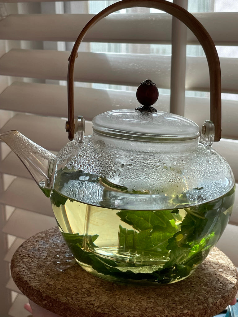 【醫食源】桑葉雙菊茶